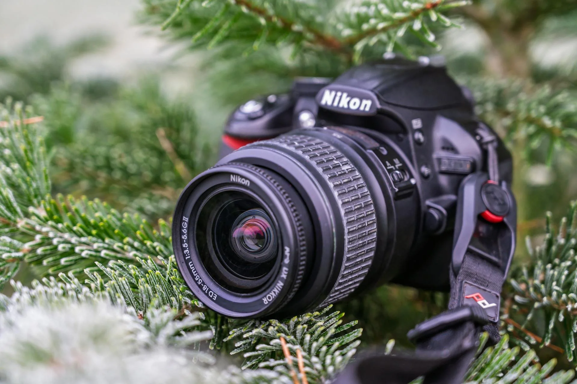 Best Portrait Lenses by Mount